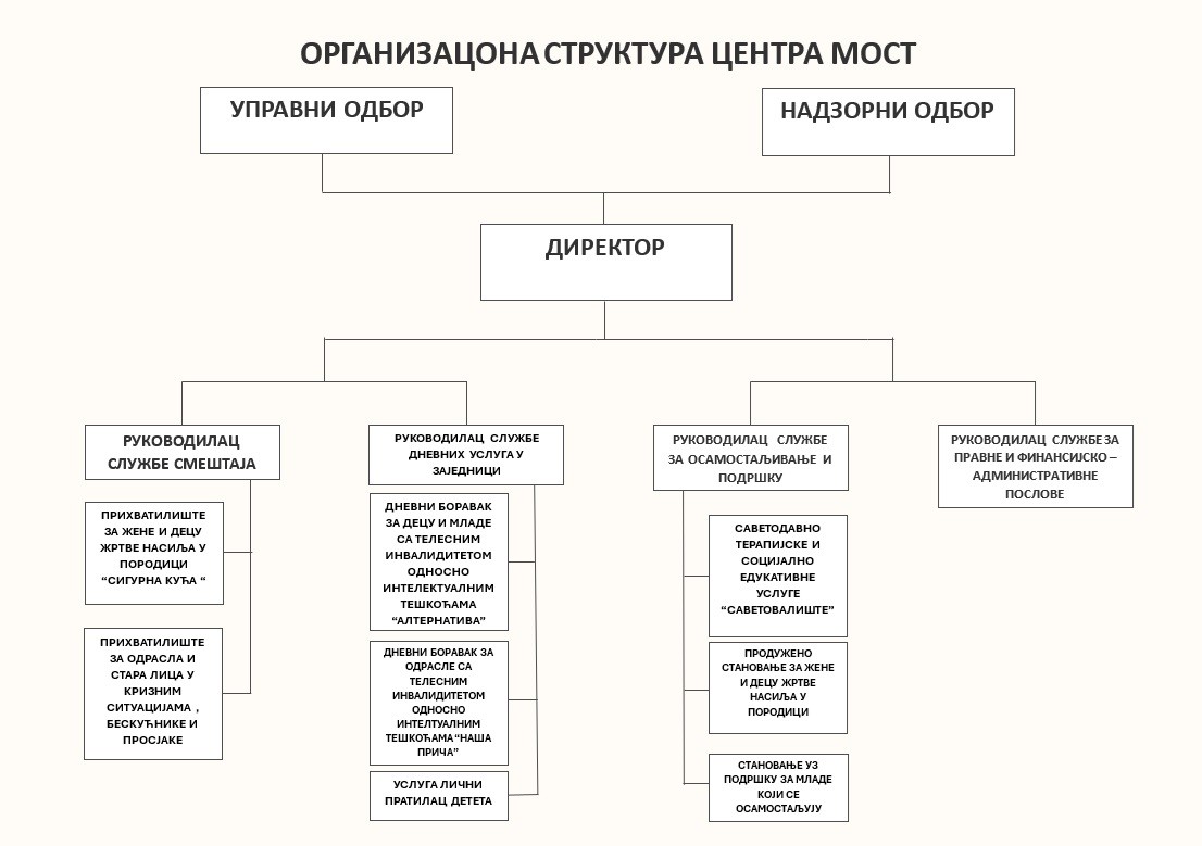 Organizaciona struktura